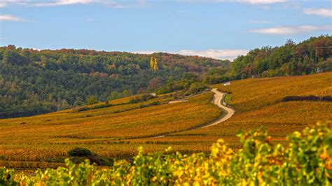 Les paysages et climats du vignoble de Bourgogne | Bourgogne Tourisme