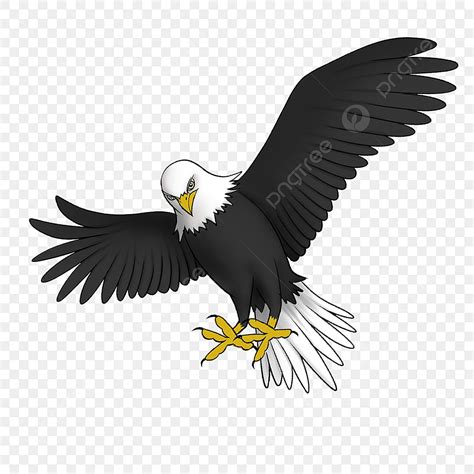 Soaring Falcon Clipart, Falke Clipart, Steigende, Zum Himmel Fliegen PNG und PSD Datei zum ...