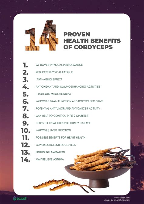 CORDYCEPS - 14 Health Benefits Backed by Science - Ecosh