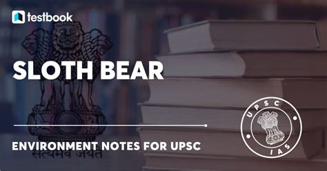 Sloth Bear - Habitat, Characteristics, IUCN Status & More | UPSC