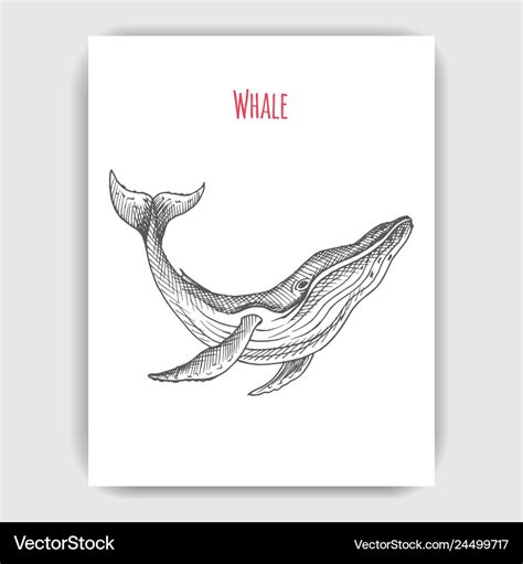 Blue Whale Outline Tattoo