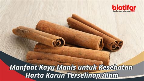 Manfaat Kayu Manis untuk Kesehatan Bisa untuk Diet lho! - Biotifor