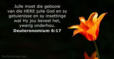 18 Oktober 2022 - Bybelvers van die dag - Deuteronomium 6:17 - DailyVerses.net