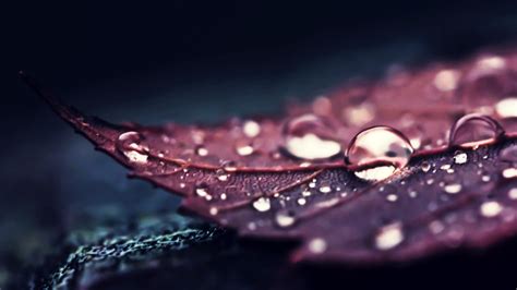 Water Drops Images Hd (#2986588) - HD Wallpaper & Backgrounds Download