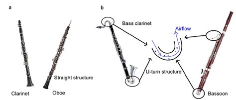 Fig. S8 | Images of reed instruments. (a) Clarinet and oboe. Both ...