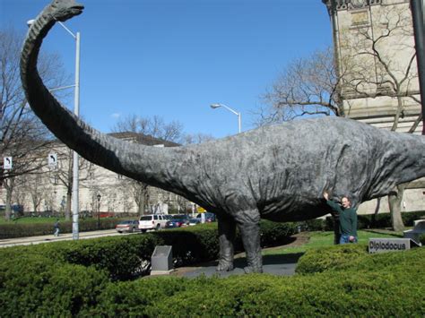 Pittsburgh Carnegie Museum Dinosaur | Pittsburgh PA Dippy th… | Flickr