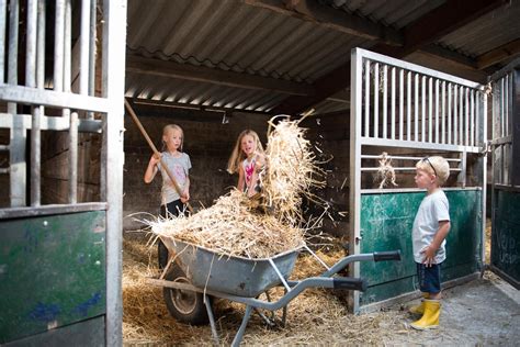 vakantie | boerderij | met kinderen | Nederland Luxe logeren bij de ...