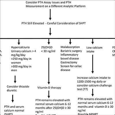 The Eucalcemic Patient With Elevated Parathyroid Hormone Levels | Endocrine Society