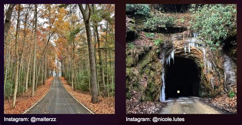 Red River Gorge Scenic Byway - Grizzly Rose