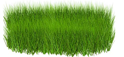 Artificial Turf PNG Image File - PNG All