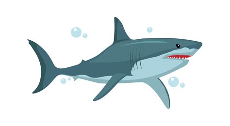 Shark Vector Art, Icons, and Graphics for Free Download