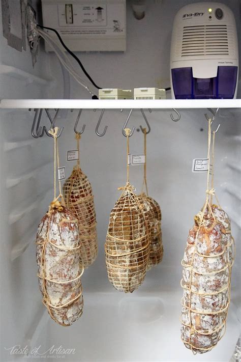 Meat Curing Chamber at home. This meat curing chamber is advanced ...