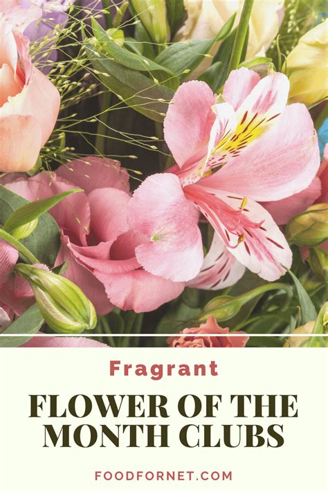 Top 8 Fragrant Flower of the Month Clubs | Food For Net