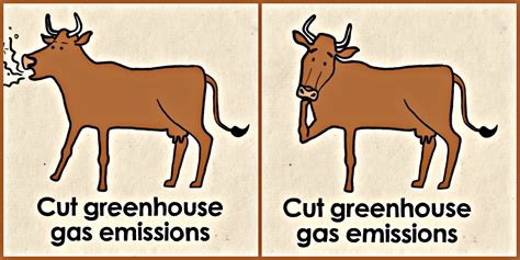 (Enteric methane) greenhouse gas emissions in cows are cut 25% with ...