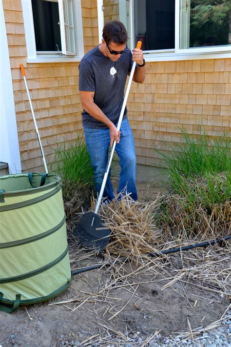 Fall Yard Clean Up Tips For Your New Home | Fiskars | Fall clean up, Yard ideas cheap, Fall cleaning