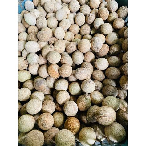 buah kulim kecil borong(10kg) | Shopee Malaysia