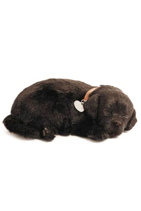 Sleeping Labrador Toy | Black lab puppies, Black lab, Sleeping puppies