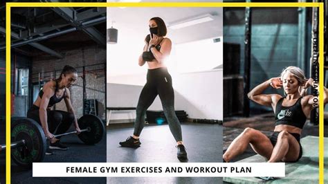 20 Best Exercises to Gain Weight for Females - The Fitness Phantom