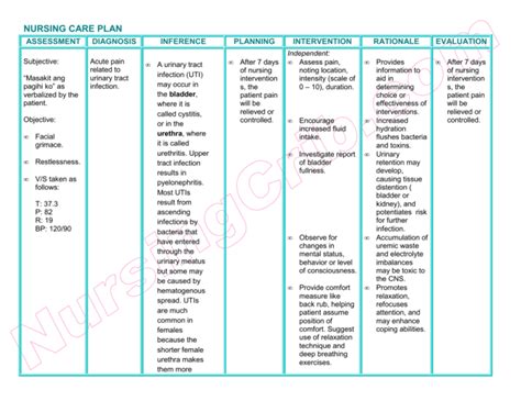 NURSING CARE PLAN - UTI