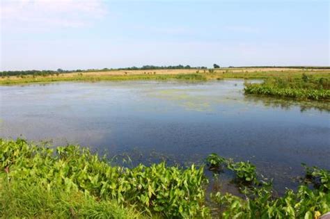 Navigable Waters Protection Rule is Finalized | Center for Agricultural Law and Taxation