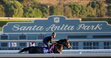 Breeders' Cup 2023 Results: Tracking Winners, Prize Money Payouts on ...