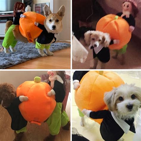 Pumpkin Dog Costume - Funny Halloween Dog Costume