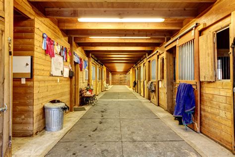 Horse Stall Flooring: Good, Better, Best - Cashmans