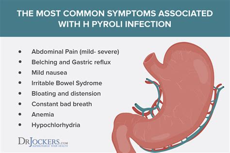 The Damaging Effects of H Pylori Infections - DrJockers.com