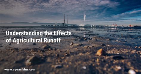 Understanding the Effects of Agricultural Runoff