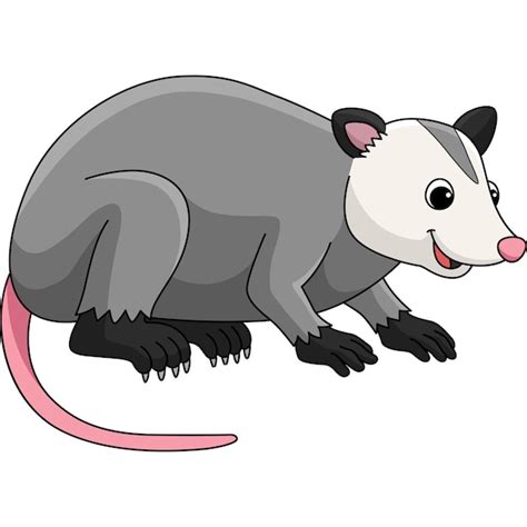 Mammal Clipart Clipart Opossum726 Classroom Clipart | Images and Photos finder