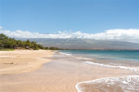 🏝 Maalaea Beach, Maui: Ultimate Visitor's Guide (2024)