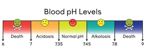 The Buffer System in the Blood (animation) - Annenberg Learner