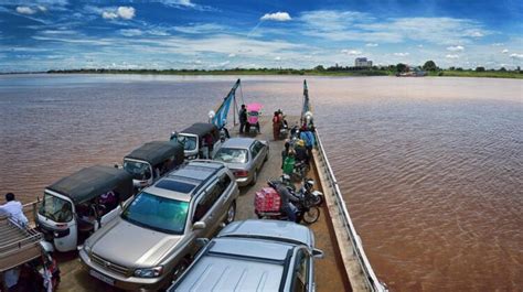 The Mekong Catfish: Characteristics, Habitat, and Conservation - Tcrascolorado