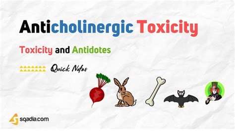 Toxicity and Antidotes - Anticholinergic Toxicity