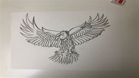 Drawings Of Eagle Wings