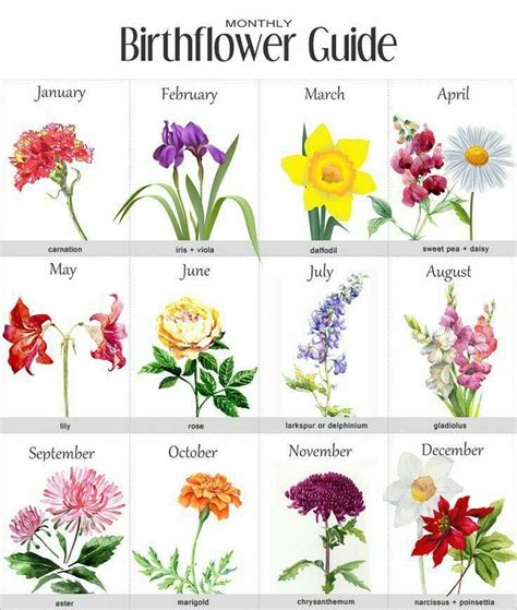 Pin by Nadine Maley on Plants and Flowers | Birth flowers, Birth flower ...