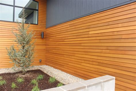 Cedar Siding | Capital Lumber