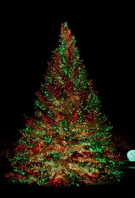 Best Christmas Tree Light Ideas To Make Your Home Shine | Cool ...