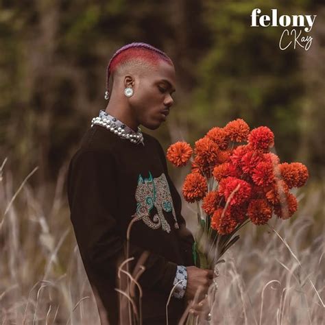 New Music: CKay - Felony | BellaNaija