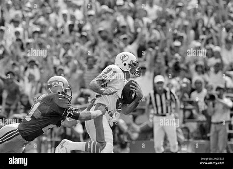 Miami Dolphins wide receiver Jimmy Cefalo (81) catches a Dan Marino ...