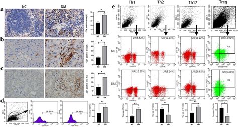 The change of the CD4⁺ T cells and its subtypes in different organs ...