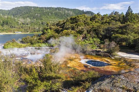 Map of Africa, Orakei Korako Geothermal Park, Taupo Volcanic Zone, North Island, New Zealand ...