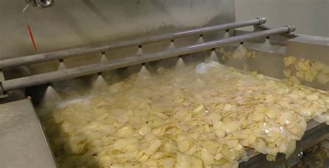 POTATO SLICE WASHING SYSTEM – IMPORTANT STEP IN POTATO CHIPS MANUFACTURING | Grace Food ...