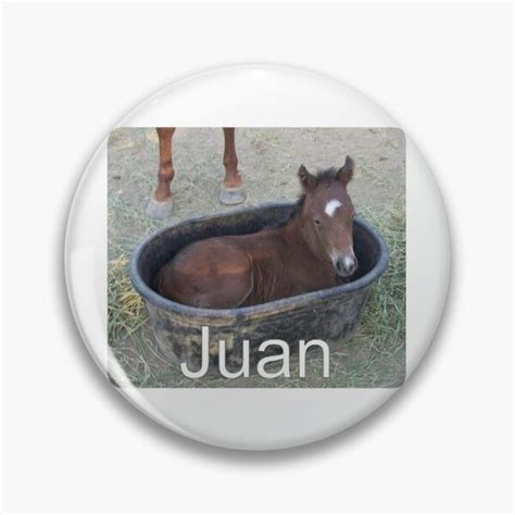 Juan Horse Meme Gifts & Merchandise | Redbubble