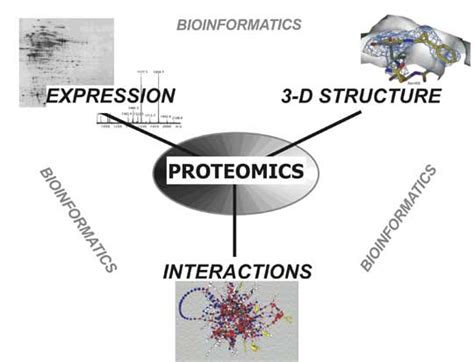 Difference Between Genomics and Proteomics – Pediaa.Com