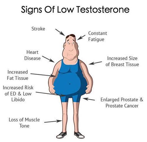 Foods Increasing the Testosterone Levels Naturally