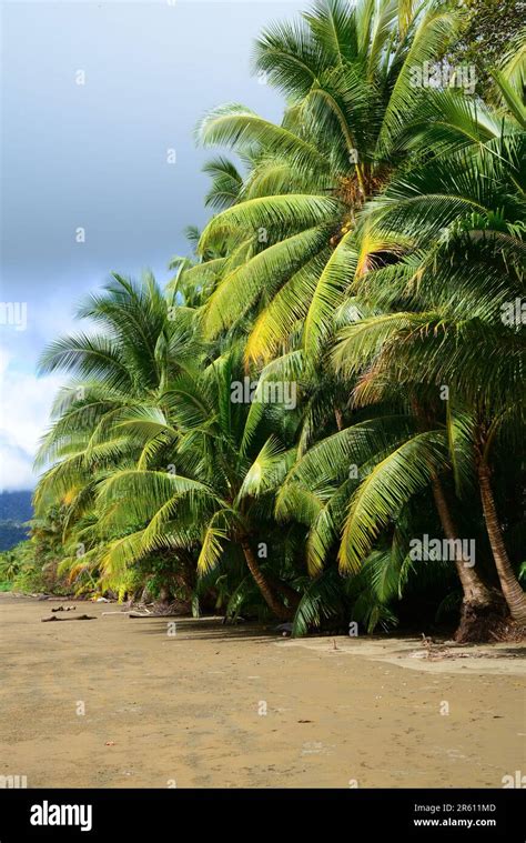 The marine area of Marina Ballena National Park in Costa Rica Stock Photo - Alamy