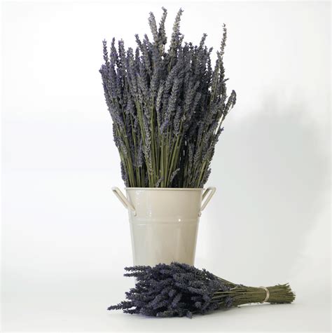 Dried Lavender Bouquets-French | Victorias Lavender