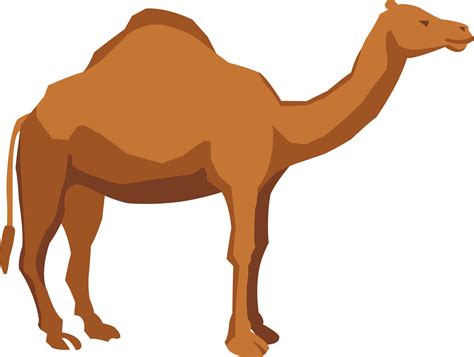 Camel Clipart PNG | PNG Play