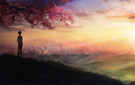 Peaceful Sunset, makoto shinkai, sun, scenic, sunset, short hair, tree ...